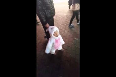 Toddler walks in adorable bunny costume