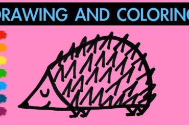 How to draw a cute hedgehog for Kids | Learn colors | Hanny Bunny Kids Art