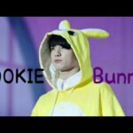 Jungkook ~ Cute bunny [FMV]
