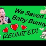 We Saved A Baby Bunny! 😃 (Emotional Video) 🐰