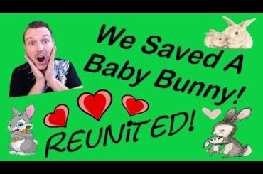 We Saved A Baby Bunny! 😃 (Emotional Video) 🐰