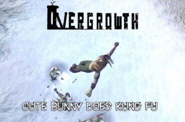 Cute Bunny Does Kung Fu - Overgrowth Gameplay