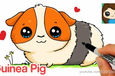 How to Draw a Guinea Pig Easy and Cute