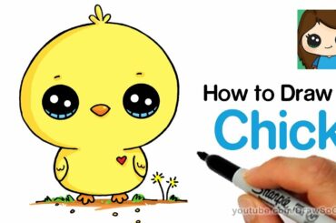 How to Draw a Baby Chick Cute and Easy