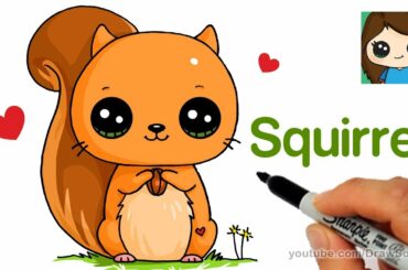 How to Draw a Squirrel Easy