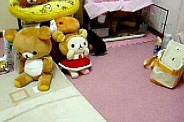 binkies!! cute rabbit bunny Moko chocolate otter