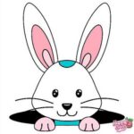 Bunny 🐰 rabbit 🐇,&