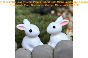 Buy 2019 2PCS Lovely Resin Plants Rabbit Cute Micro Landscape Succulen