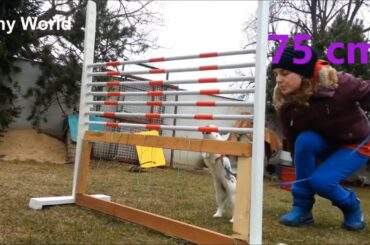 ℬ𝓊𝓃𝓃𝓎 𝒥𝓊𝓂𝓅𝒾𝓃ℊ 𝒞ℴ𝓂𝓅ℯ𝓉𝒾𝓉𝒾ℴ𝓃 - 𝒞𝓊𝓉ℯ ℛ𝒶𝒷𝒷𝒾𝓉 ℋℴ𝓅𝓅𝒾𝓃ℊ 𝒞ℴ𝓂𝓅ℯ𝓉𝒾𝓉𝒾ℴ𝓃 - ℱ𝓊𝓃𝓃𝓎 ℛ𝒶𝒷𝒷𝒾𝓉 𝒱𝒾𝒹ℯℴ𝓈 - 𝒞𝓊𝓉ℯ ℬ𝓊𝓃𝓃𝒾ℯ𝓈