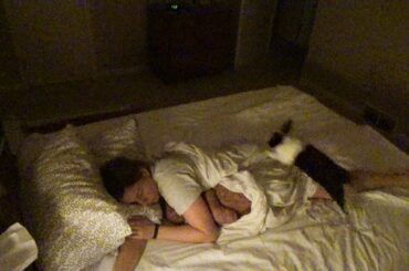 Rabbit wakes up owner by freaking out in the night!