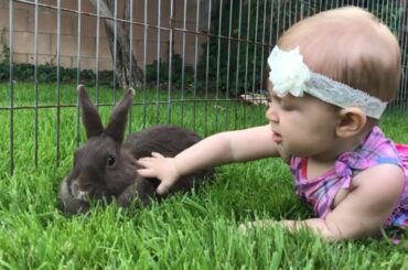 Cutest Video On the Internet | Dude Dad