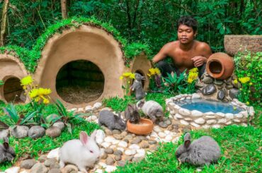 Rescue Rabbit From Meat Serve Place and Build the Bunny Hobbit House