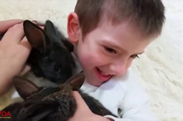 Cute Babies and Rabbits | Funny Babies and Animals