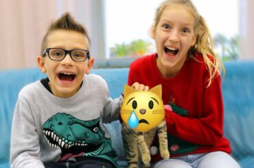 WE RESCUED A SMALL KITTEN!!!