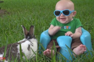Cute Babies and Rabbits #2  Funny Babies and Animals