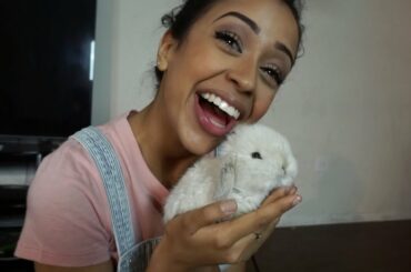 NEW MEMBER OF OUR FAMILY!!