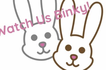 Watch Us Binky! Cute Bunnies Love to Play Outside!