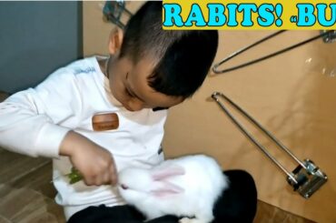 Take Care Of 2 Cute Baby Bunny #Day10 (Baby Play Bunny) ❤ BaoBao ToysReview