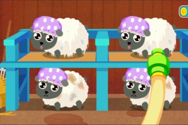 Baby's Sheep Farm
