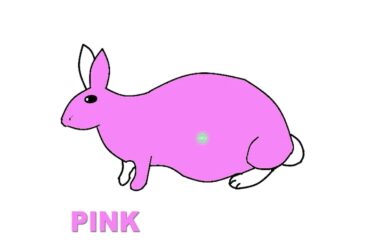 HOW TO DRAW RABBIT| RABBIT DRAWING FOR KIDS | KIDS ART TIME | KIDS ART HUB |