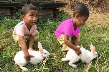 Funny kid Playing Bunny Rabbit - cute mother rabbit