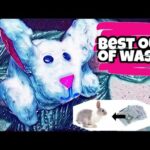 How to make cute rabbit from waste newspaper - Best out of waste