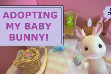 Paisley's Puppet Show For Kids: Vlog 001 Meet My New Baby Bunny