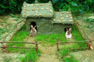 Building Beautiful Tiny House House Rabbit House nice-How to build a small rabbit house