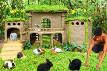 Save the beautiful newborn rabbits and build a mud house for them