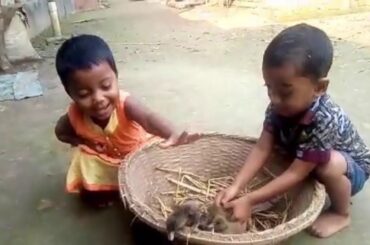 Baby Duck Video || Cute Baby Making Amazing Moment With Baby Duck || AHP Center || AHP Center