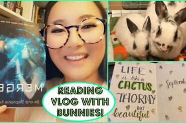 READING MERGED with cute bunnies & bullet journaling