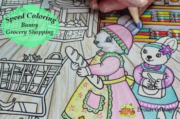 SPEED COLORING Cute & Crazy Critters Bunny Grocery Shopping by Fern Brown