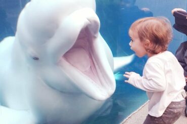 Funny Baby At The Aquarium