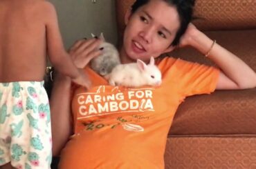 LOVELY SMART GIRL PLAYING CUTE RABBITS AT HOME HOW TO PLAY WITH RABBITS & FEED BABY RABBITS #5