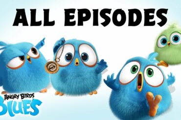 Angry Birds Blues | All Episodes Mashup - Special Compilation