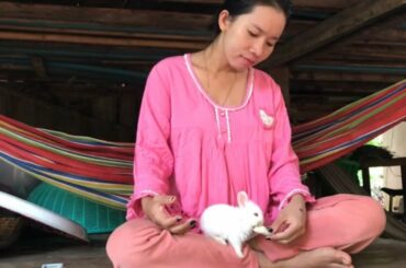 LOVELY SMART GIRL PLAYING CUTE RABBITS AT HOME HOW TO PLAY WITH RABBITS & FEED BABY RABBITS #6