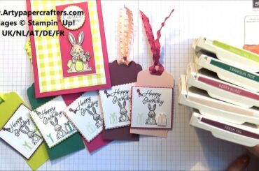 Handmade Cute Bunny Gift Tags and Cards - SandraR Stampin' Up! Demonstrator Independent