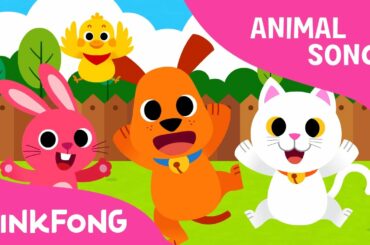 Baby Animals | Animal Songs | Pinkfong Songs for Children