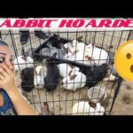 VISITING A RABBIT HOARDING SITUATION!!! *SHOCKING*