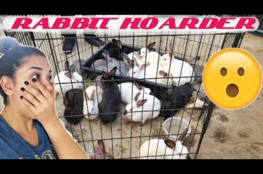 VISITING A RABBIT HOARDING SITUATION!!! *SHOCKING*