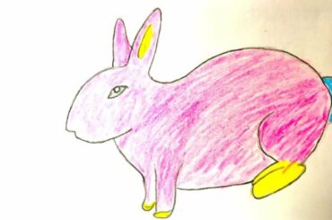 how to draw a rabbit draw so cute