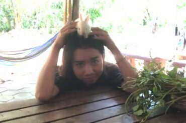 LOVELY SMART GIRL PLAYING CUTE RABBITS AT HOME HOW TO PLAY WITH RABBITS & FEED BABY RABBITS #8