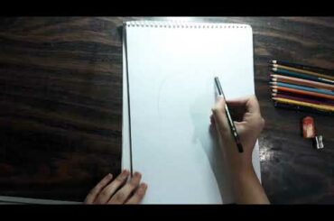 How to draw cute rabbit