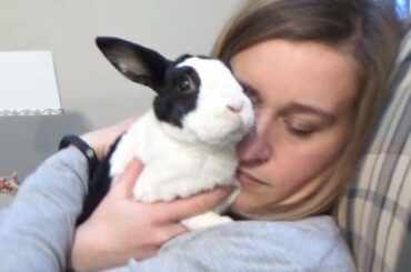 Hugging my rabbit for too long!