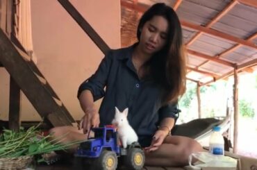 LOVELY SMART GIRL PLAYING CUTE RABBITS AT HOME HOW TO PLAY WITH RABBITS & FEED BABY RABBITS #10