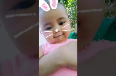 Cute Bunnies 3/3