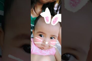 Cute Bunnies 1/3
