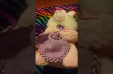 The cute bunny's prayer!