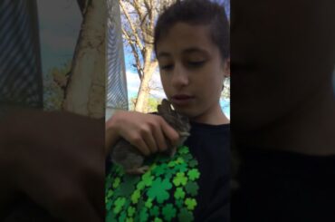 CUTE BABY BUNNIES!!!!!😂😍😍