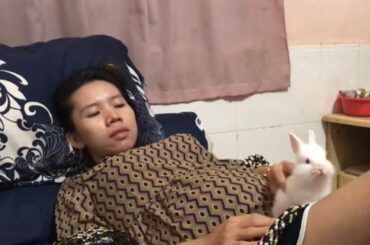 LOVELY SMART GIRL PLAYING CUTE RABBITS AT HOME HOW TO PLAY WITH RABBITS & FEED BABY RABBITS #11